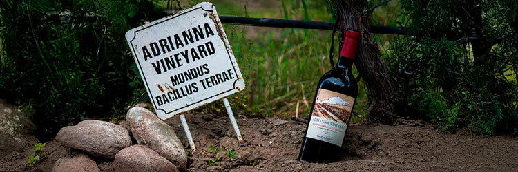5 Vinos Tan Premiados Que Todos Deberíamos Probar Alguna Vez