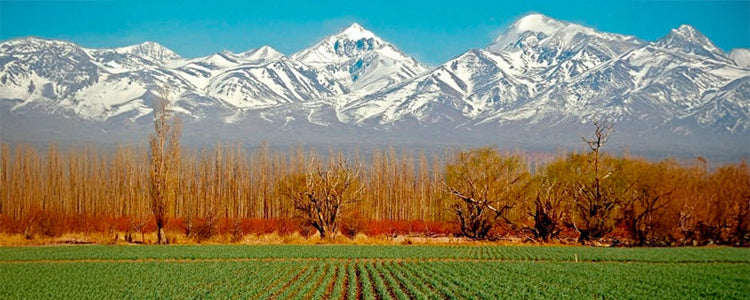 San Rafael
