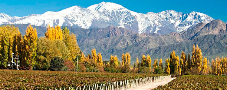 Valle de Uco