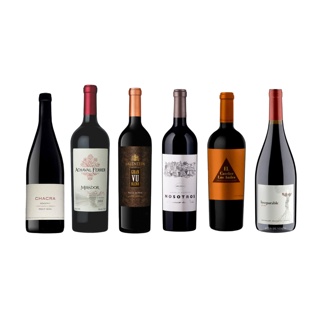 Colección 3 Guardados & 3 Alta Gama: 1 Chacra Pinot (97P) + 1 Achaval Ferrer Malbec 2015 (95P) + 1 Salentein Grand VU Blend + 1 Nosotros 2016 Malbec (99P) + 1 el CLA Malbec 2013 + 1 PerSé Inseparable Malbec (95P)