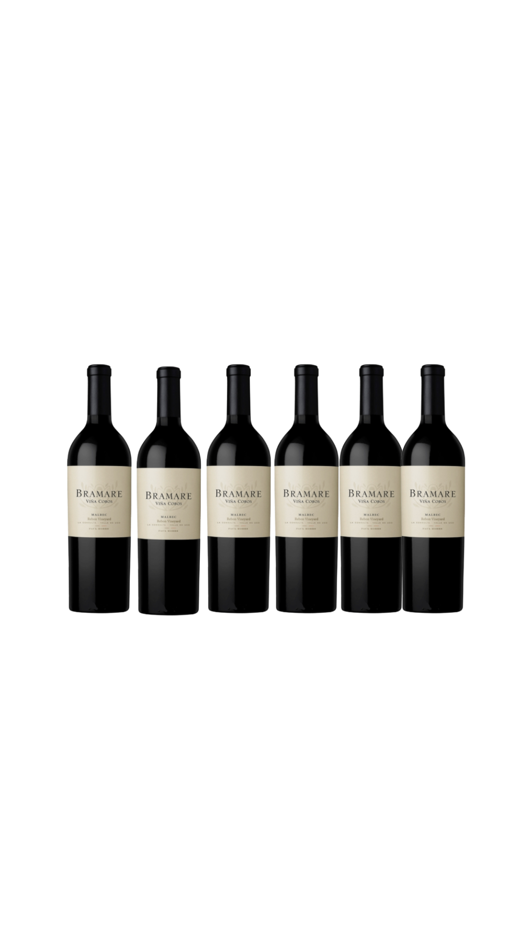 Bramare Vineyard Designate Rebon 2017| 95 Pts