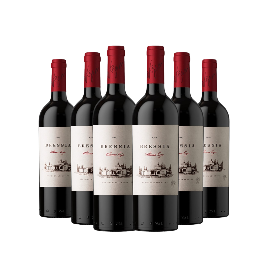 Bressia Última Hoja 2020 | 94 pts