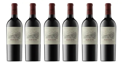 Felipe Rutini 2013| 95 pts