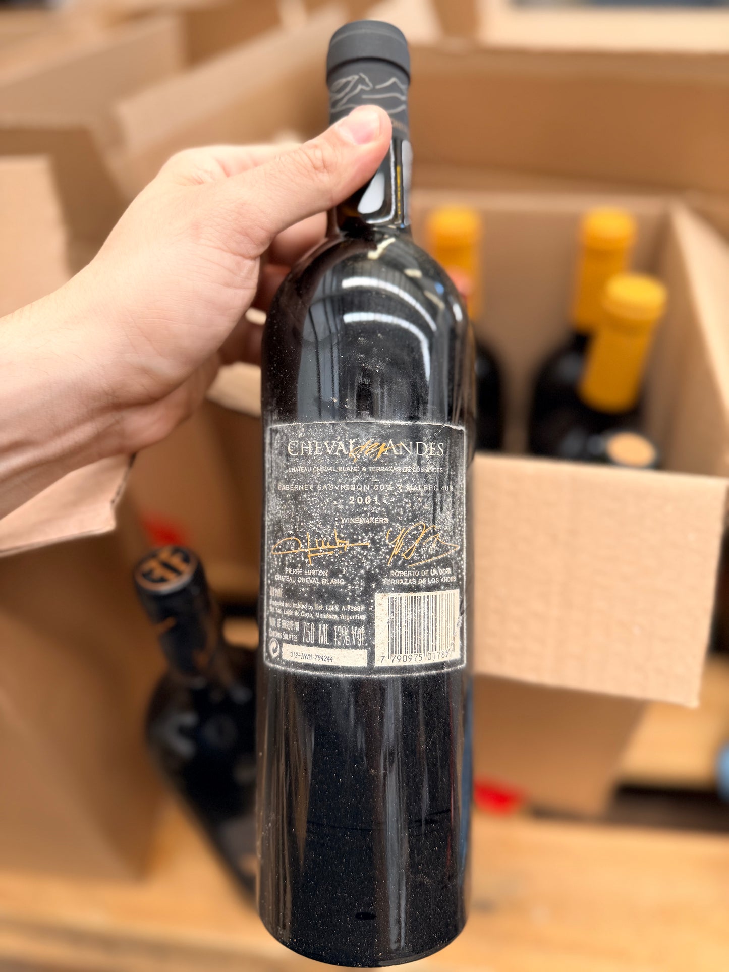 Cheval Des Andes 2001