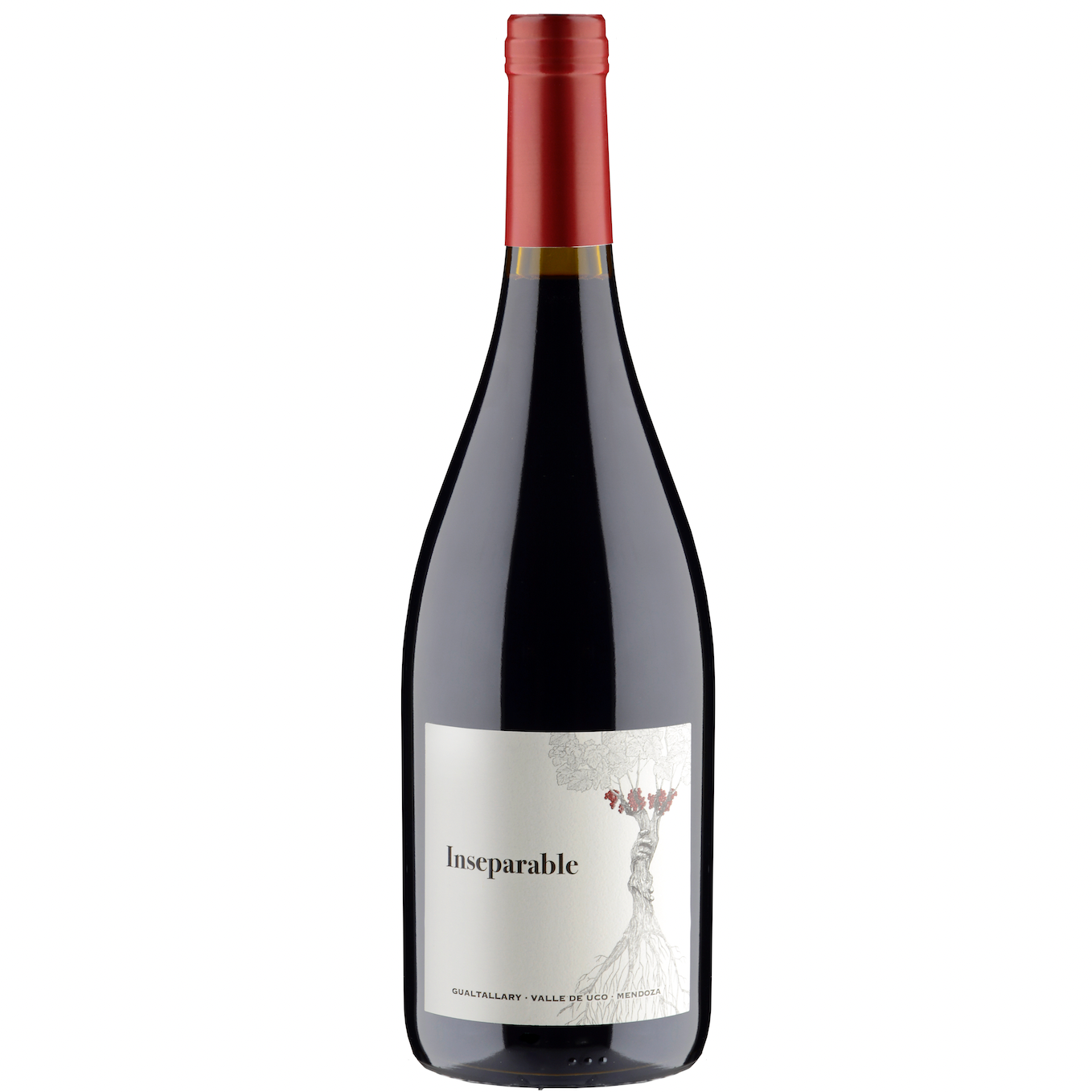 Perse Inseparable 2020| 95 Pts