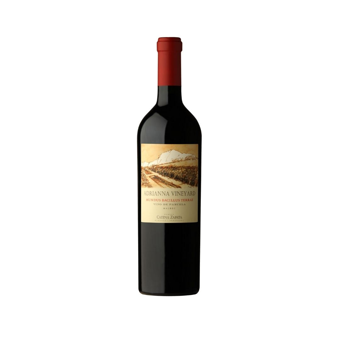 Mundus Bacillus 2020 | 96 Pts