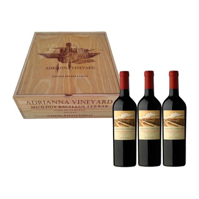 Mundus Bacillus Terrae 2021 | 100 pts