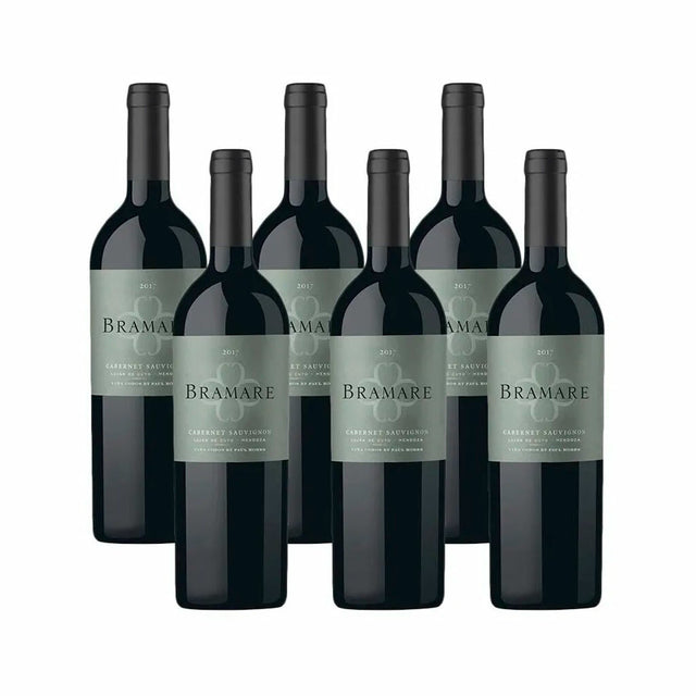 Bramare Lujan De Cuyo Cabernet Sauvignon 2019|94 pts