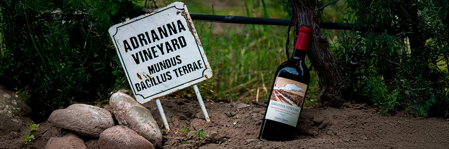 5 Vinos Tan Premiados Que Todos Deberíamos Probar Alguna Vez
