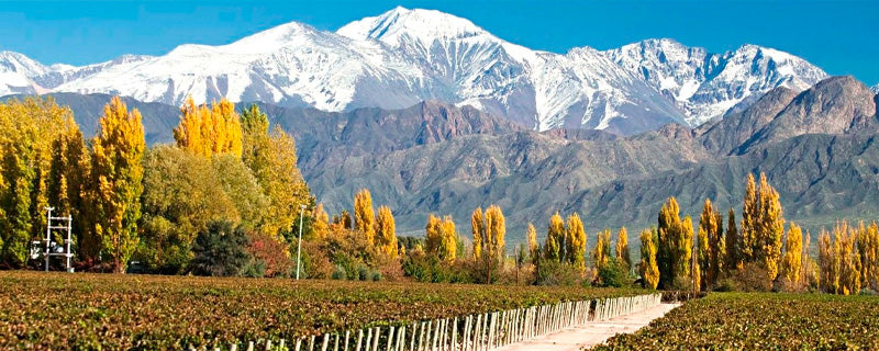 Valle de Uco