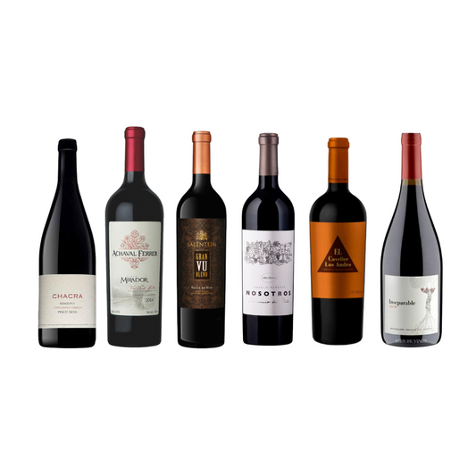 Colección 3 Guardados & 3 Alta Gama: 1 Chacra Pinot (97P) + 1 Achaval Ferrer Malbec 2015 (95P) + 1 Salentein Grand VU Blend + 1 Nosotros 2016 Malbec (99P) + 1 el CLA Malbec 2013 + 1 PerSé Inseparable Malbec (95P)