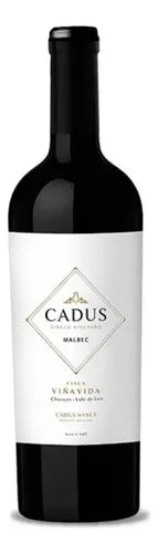 Cadus Finca Viña Vida 2017| 96 pts