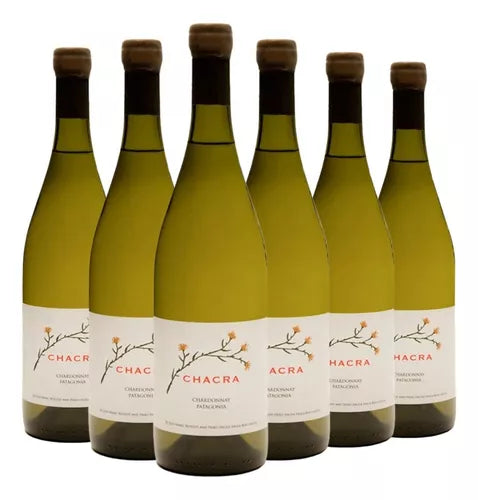 Chacra Chardonnay 2020