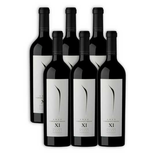 Vino Pulenta Gran Cabernet Franc De 750ml
