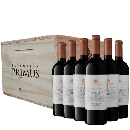 Salentein Primus Merlot 2006
