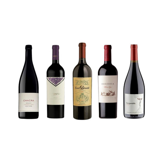 Colección Grandes Vinos + Regalo: 1 Enzo Gran Corte 2019 + 1 Lindaflor Malbec (2016) + 1 Última Hoja Malbec 2020 + 1 Chacra 55 Pinot (97P) + 1 Perse Inseparable Malbec + 1 Zuccardi Coratina DE REGALO