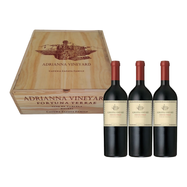 Fortuna Terrae 2017| 96 Pts