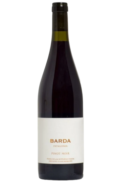 Chacra Barda Pinot 2021 | 93 Pts