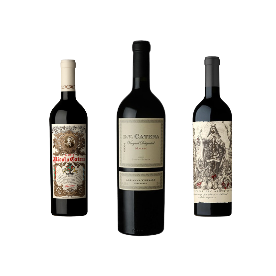 Selección Familia Zapata: 1 Malbec Argentino 2022 95p + 1 DV Adrianna 2005+ 1 Nicola Bonarda