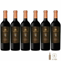 Caja X 6 Salentein Gran Vu Blend 750cc 2020