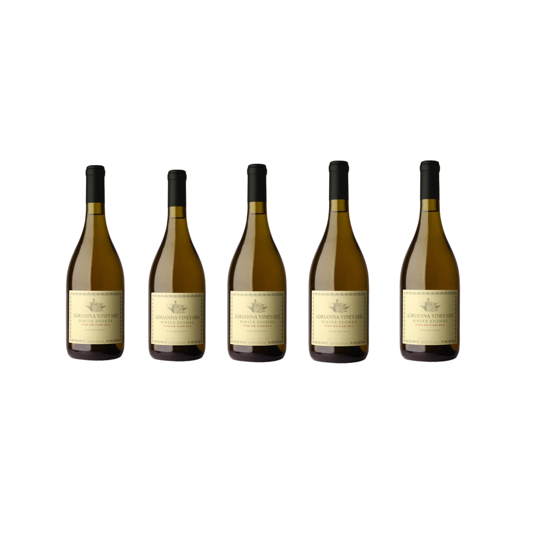 Selección Vertical: Catena Zapata White Stones
