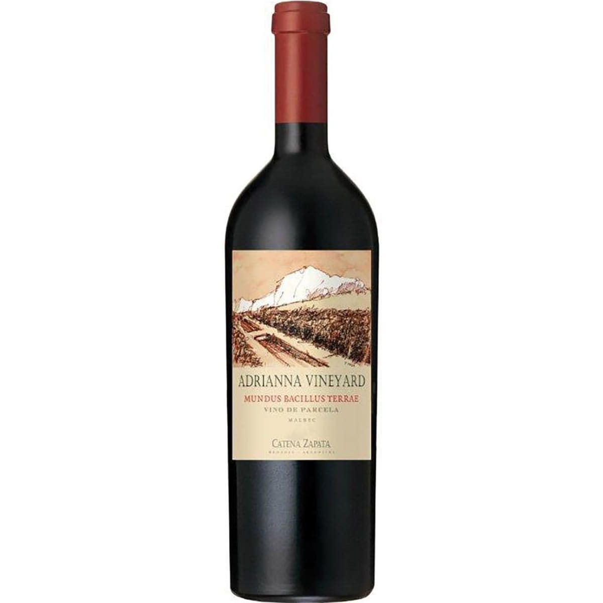 Mundus Bacillus Terrae 2021 | 100 pts